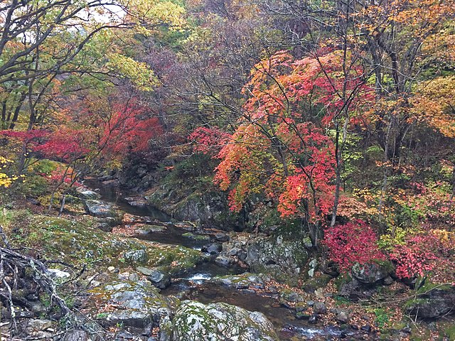 치악산 단풍